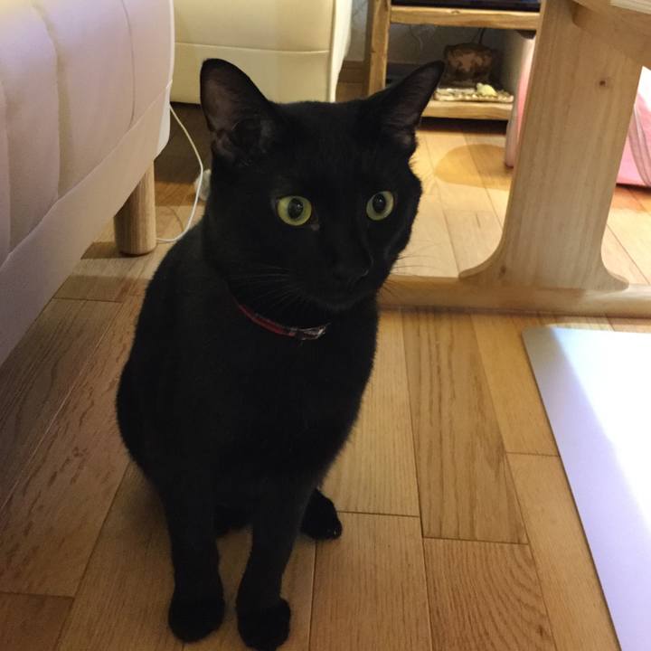 9fec2202 fc0f 406f a9a1 5851d79722c8