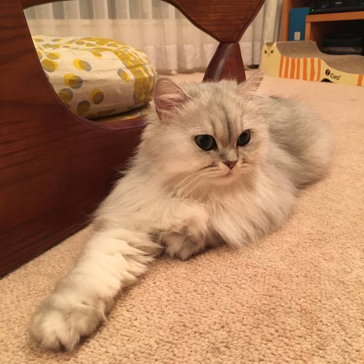 9fece9eb 9f77 44d8 90d2 faaa3cead57b