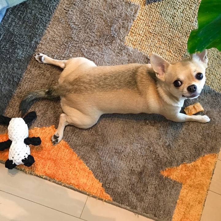 9fed9c1f 8198 4b40 963e c31aaff7f1ea