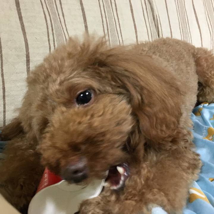 9fedbcb7 f14f 44de bede e4bfaed8ad61