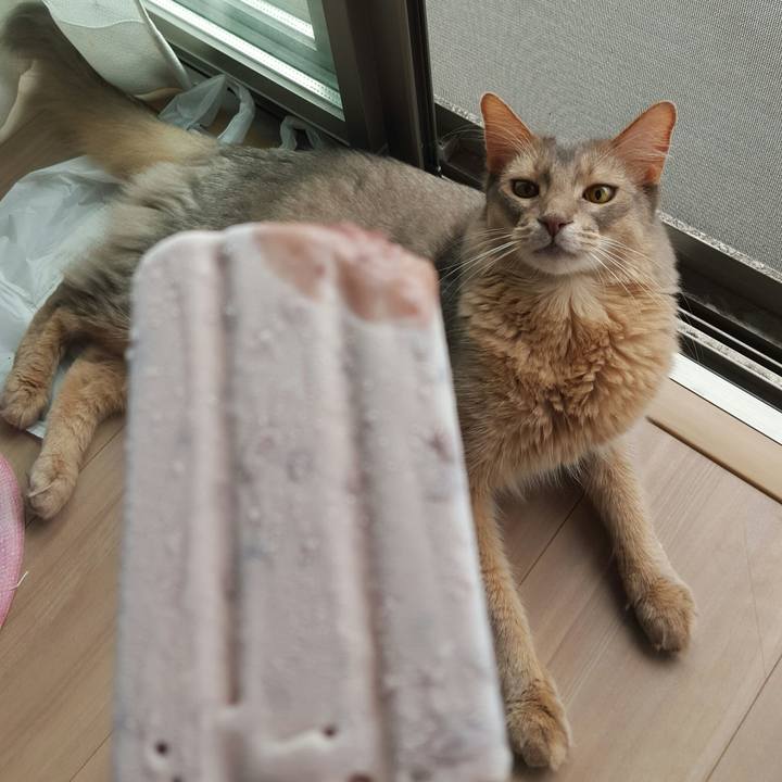 9fee7822 57a7 4dbe 9812 1586066db747