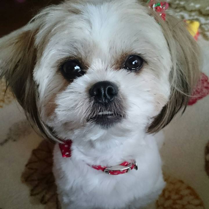 9fee945e 990f 45d3 89ca cc7f7295ec87