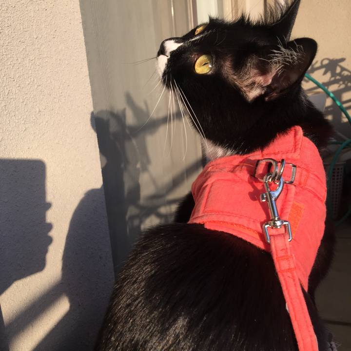 9fef97d4 2e5c 4b23 84c9 62b209b9303b