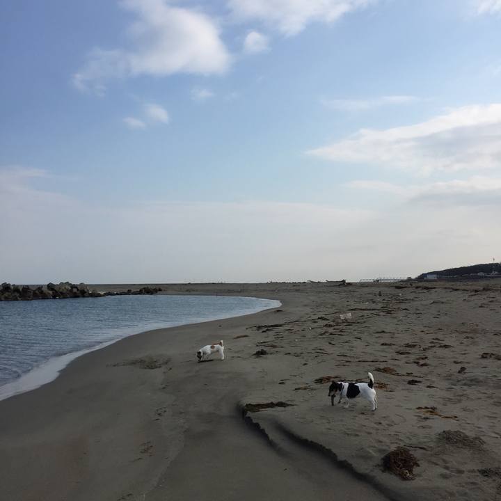 9ff024be 28e6 45f2 bb5f 8d10ef0d5c45