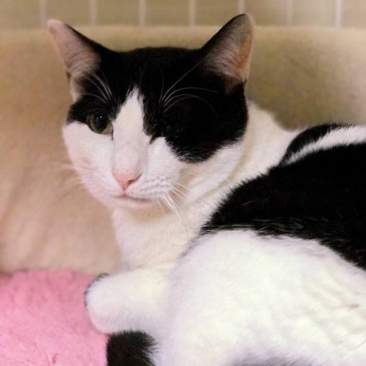 9ff0d131 7e7d 4374 88a8 e1095d6c4952