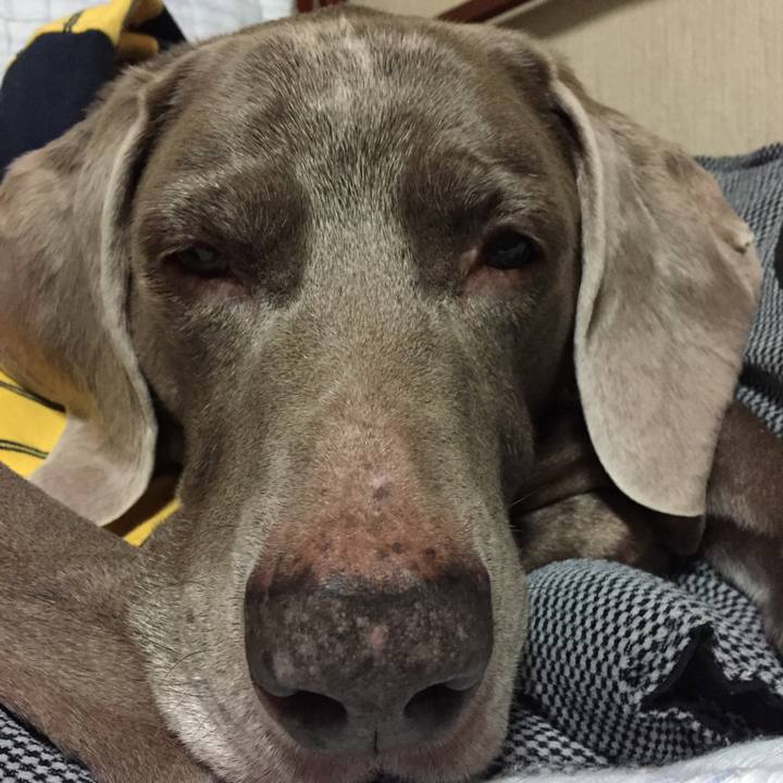 9ff1522e 93e1 4e94 9392 7362ba64ae46