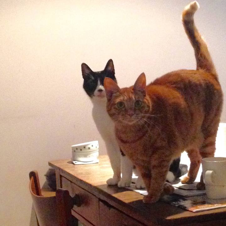 9ff19b67 9ac9 46da 8e08 1e1e5dc02d4a