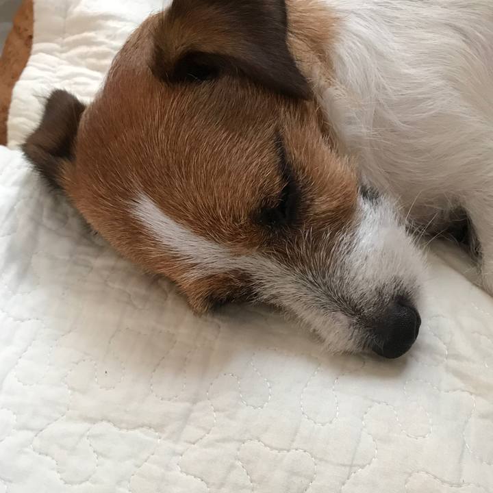 9ff1c202 7f49 455f b23c 7cc97b5ba318