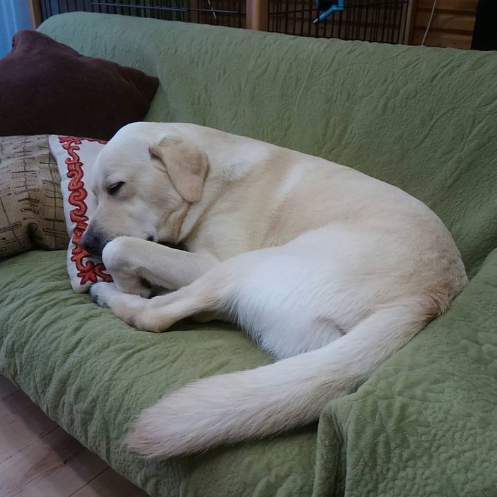 9ff231bb 78b3 40a0 b1ec c6945685b2f9