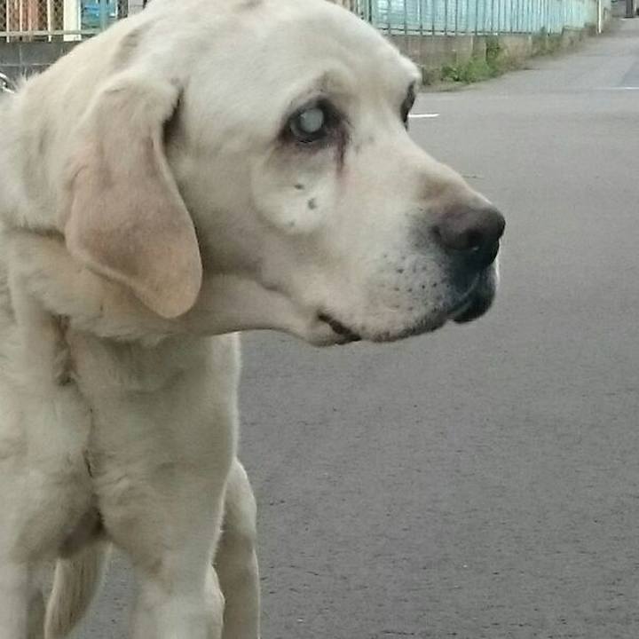 9ff2a6ef 4688 49dd a3bf 65d5e499d3b7