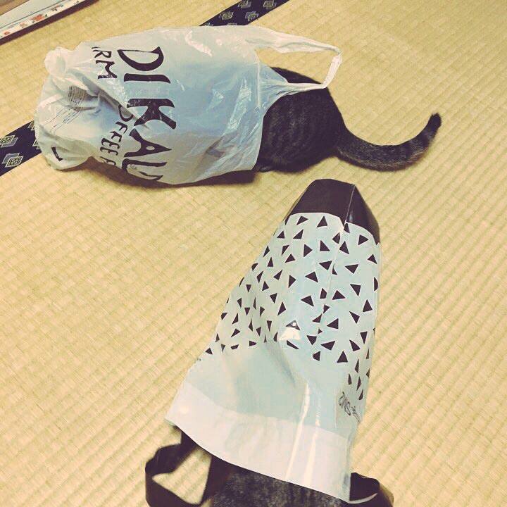 9ff2d57b 6db7 45ee b3ba 1850604587e1