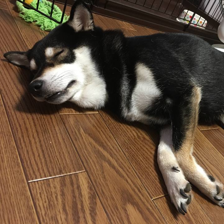 9ff331a3 2f39 4ed2 9b88 1c404a299532