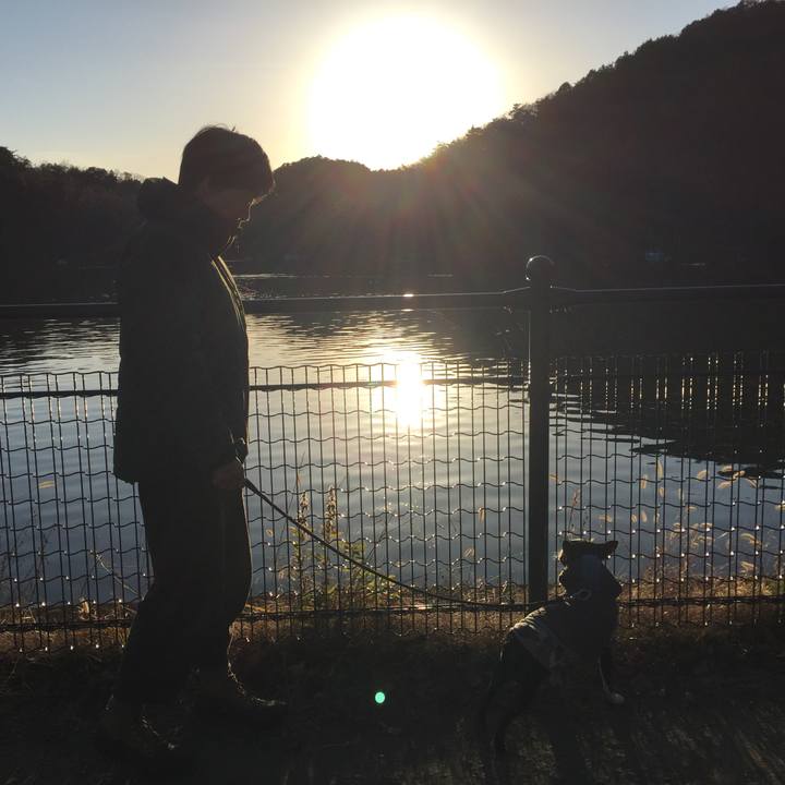 9ff34cf3 c711 4a20 a530 5d2d59e23649