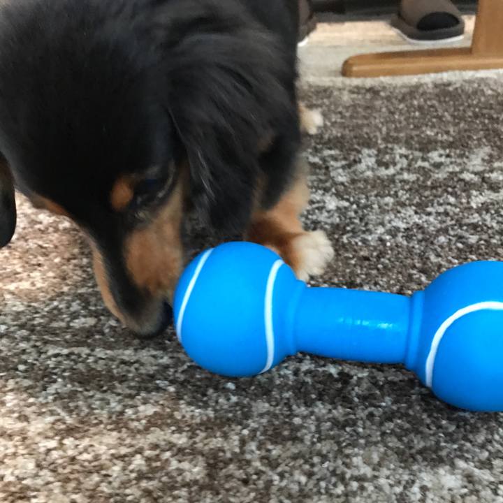 9ff41603 5b07 4e19 a8d5 5e6c18f4b874