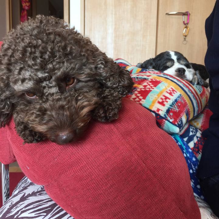 9ff4880f 8473 486a 9d6d 1ff92b2302e1