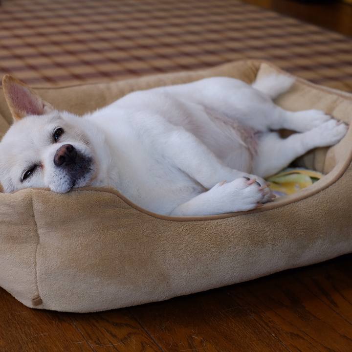 9ff49e71 0180 452c 8dfd 2d6aa5c8698d