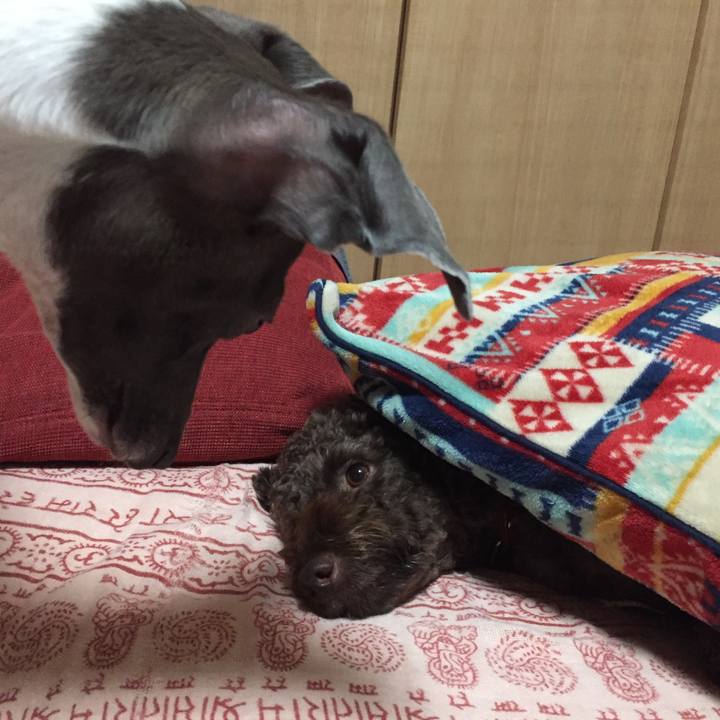 9ff4cfb1 81f6 480c ab86 7d5cea9101e0