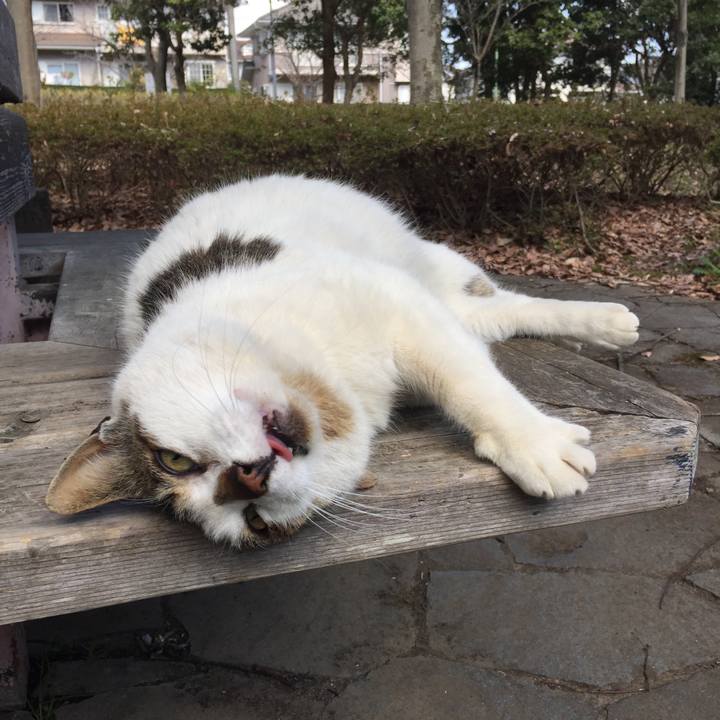 9ff53cc6 e460 4d87 8fe7 842bc04470a7