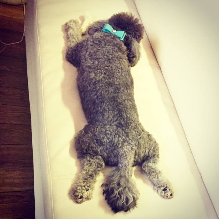 9ff7ccdd e6c3 45d1 a9d8 489605ca2533