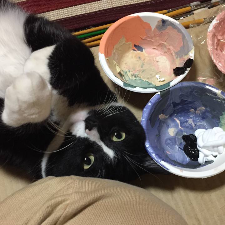 9ff7d45e 235c 496a 83bf ceddcaeb85c9