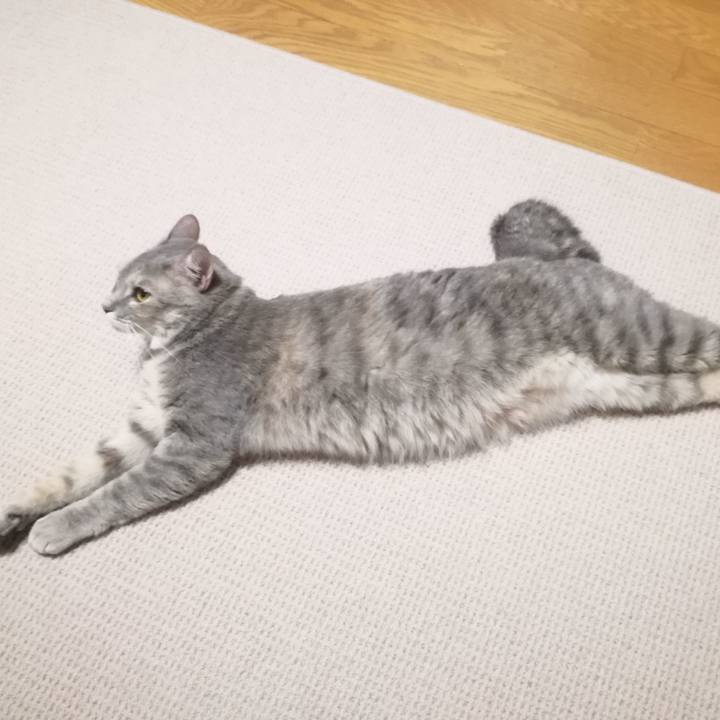 9ff824e1 aa75 4c1f b728 cd0ec60894c7