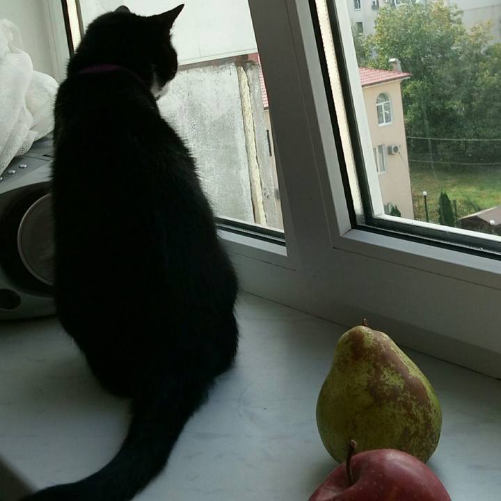 9ff84b24 e509 49c6 b1c1 5b6d186f999c