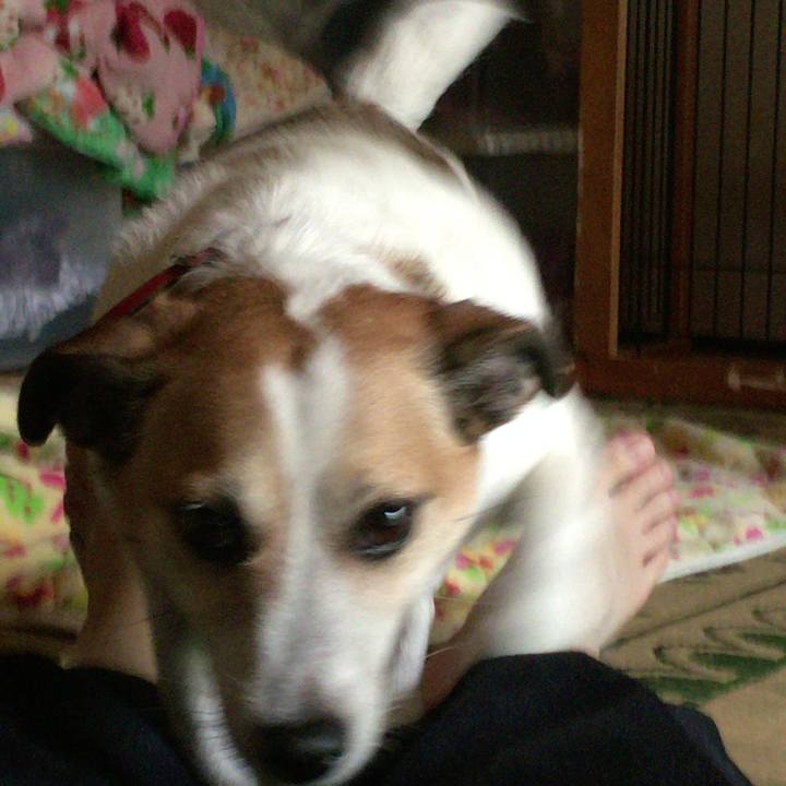 9ff88958 a5c6 4d0b b267 8163ea8f4208