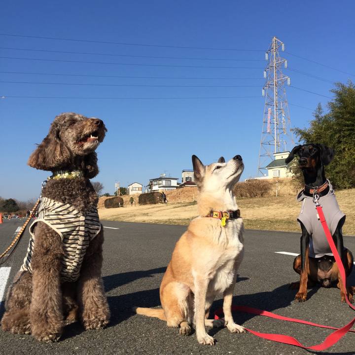 9ff8963f 1828 4584 a40e 0e3b14d69fd2