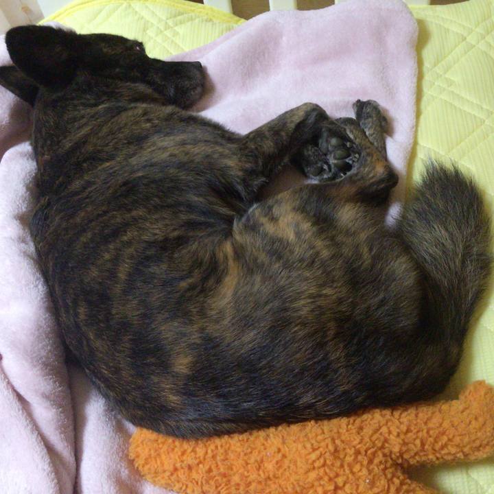 9ff910f4 805c 4b2f ad4b 41643d77b9d1