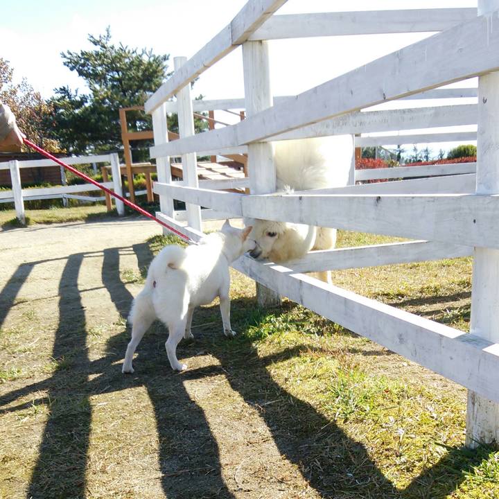 9ff9c229 acd2 4f80 a1d9 a773a8c7e101