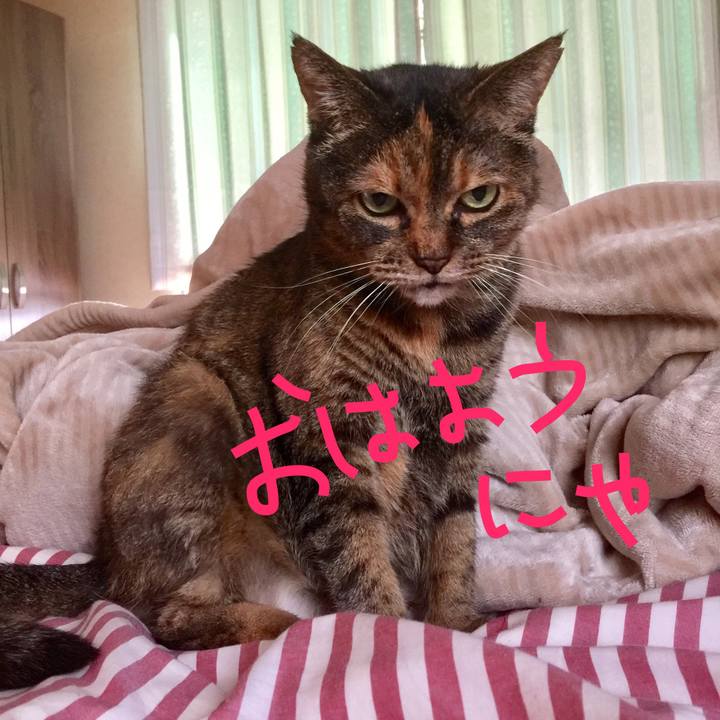 9ff9c8cc f783 4db8 baae 0800132a96be