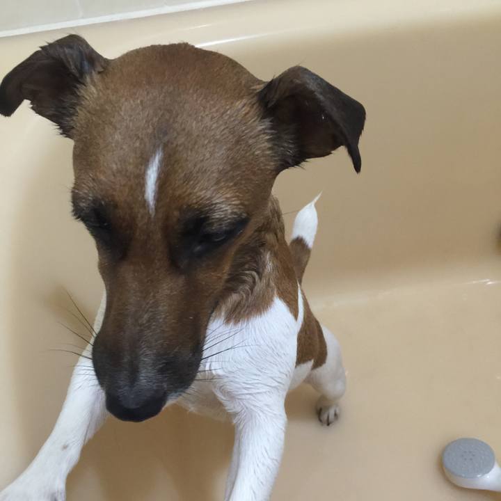 9ffa5b77 3dc3 4c6b b83d 7bd227a5413a