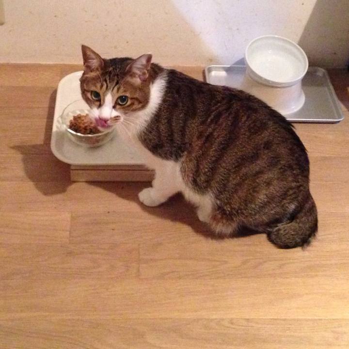 9ffa6968 3fea 4392 8e80 5d7759adb8e0