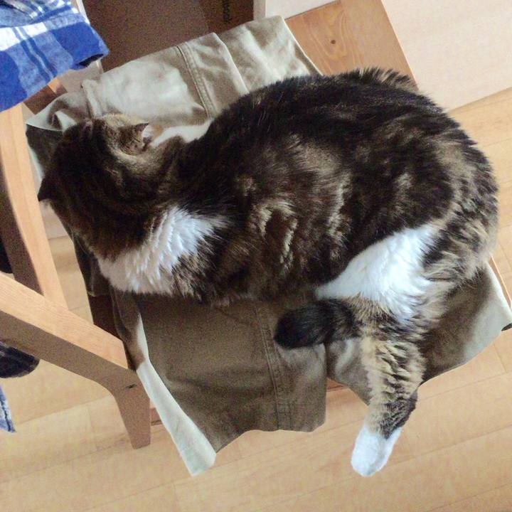 9ffb66bd 83c3 4097 9794 d529318180c6