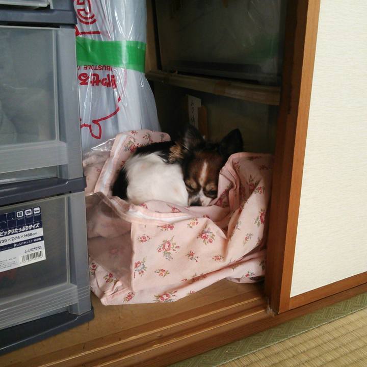 9ffb8ea0 5203 425e 869a c933594ee0fb