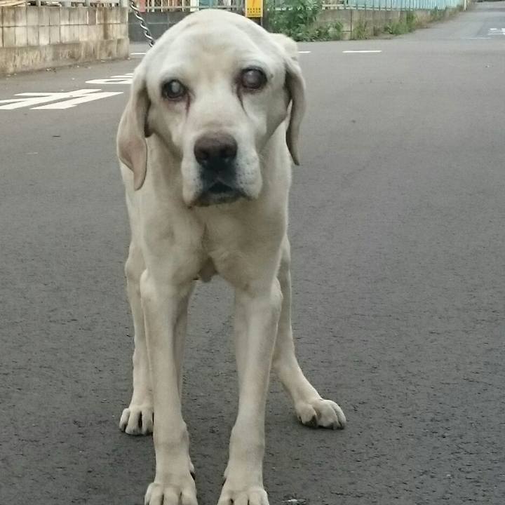 9ffbbad7 b71c 42a1 94f1 98518342389f