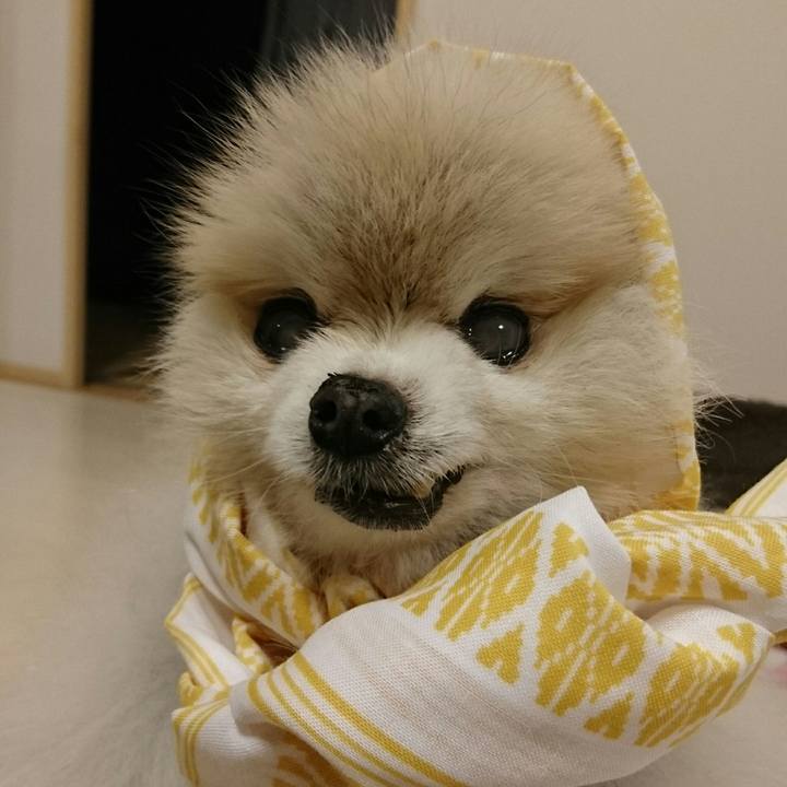 9ffbbc85 b5c6 419f 897d 1f0d1be39f22