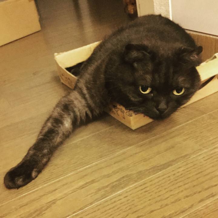 9ffd14b3 aaba 4713 a49a 2d0c758c2986