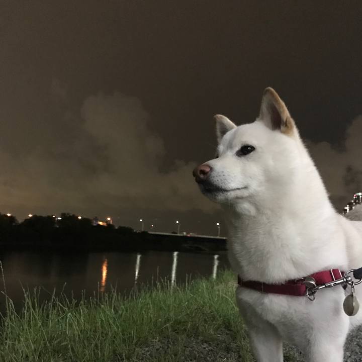 9ffd7fe2 cdc2 4ea6 9528 7ea1c965a34c