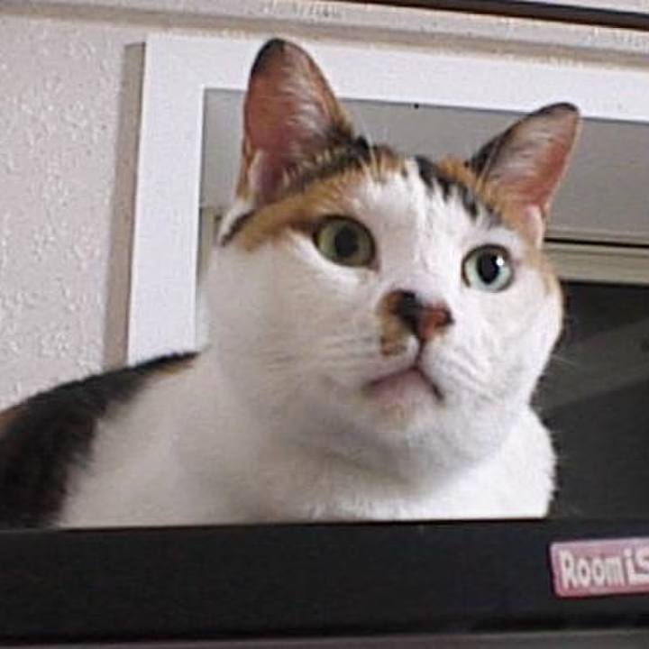 9ffdb36f 641e 4404 94d1 b5c5edaf6818