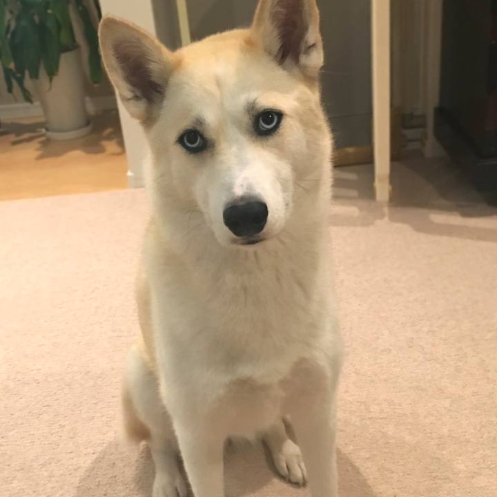 9ffe0bc8 0e85 492a 9598 143949a23f98