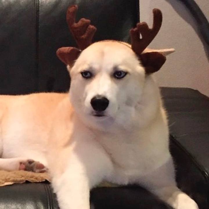 9ffe43d6 7783 4230 8451 57b13f1a3244