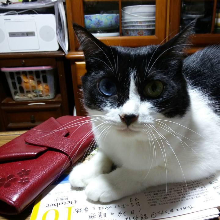 9ffe7cf1 baad 49f3 9ddf 8d356924d690