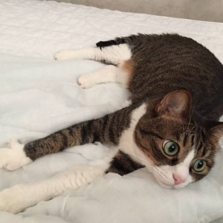 9ffe8789 40ad 45f1 b40d 0ff8158802b0