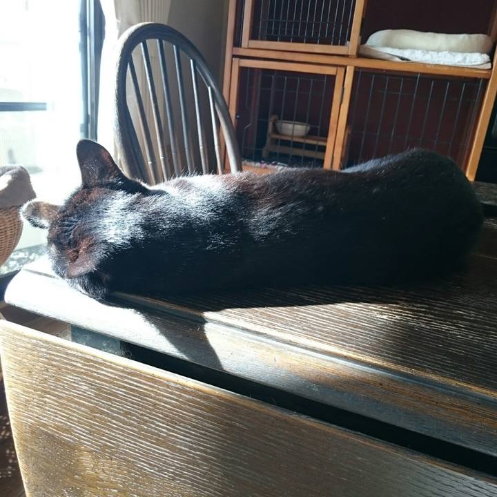 9ffef70e 5b52 4a49 9acf 146a3e9a4e34