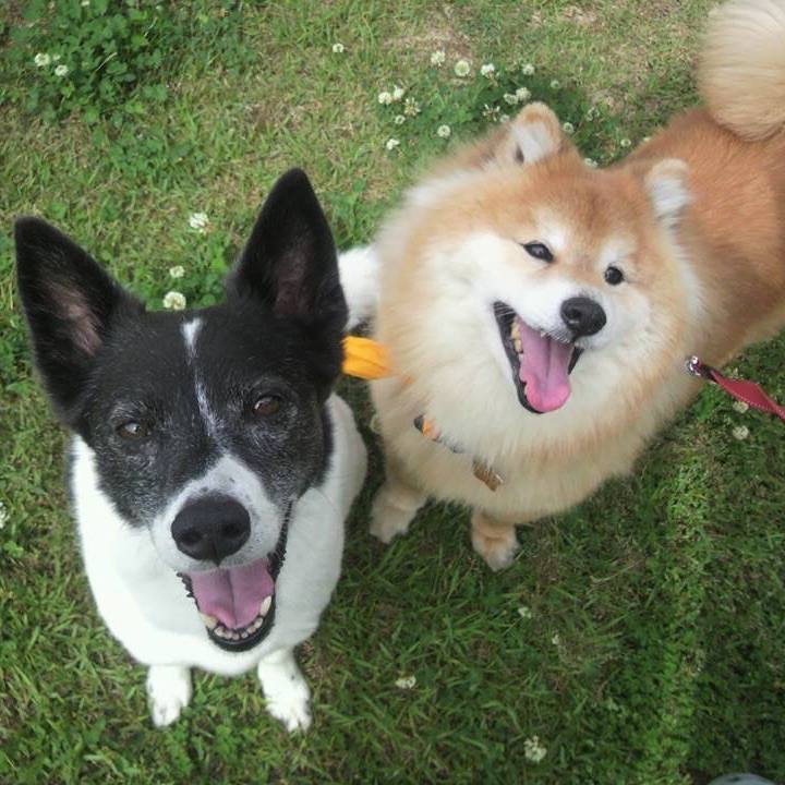 9fff0a62 1129 4fad a74c 4fe8794a2a7d