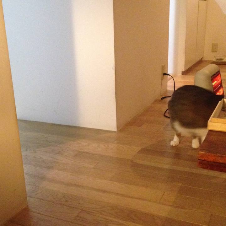 9fff342b 0de7 4b0b a957 fa18962e34d1