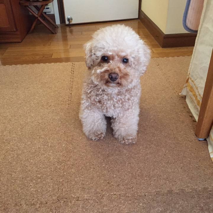 9fffd44b ec9f 4472 ac5c 6cfdbe7e19f5