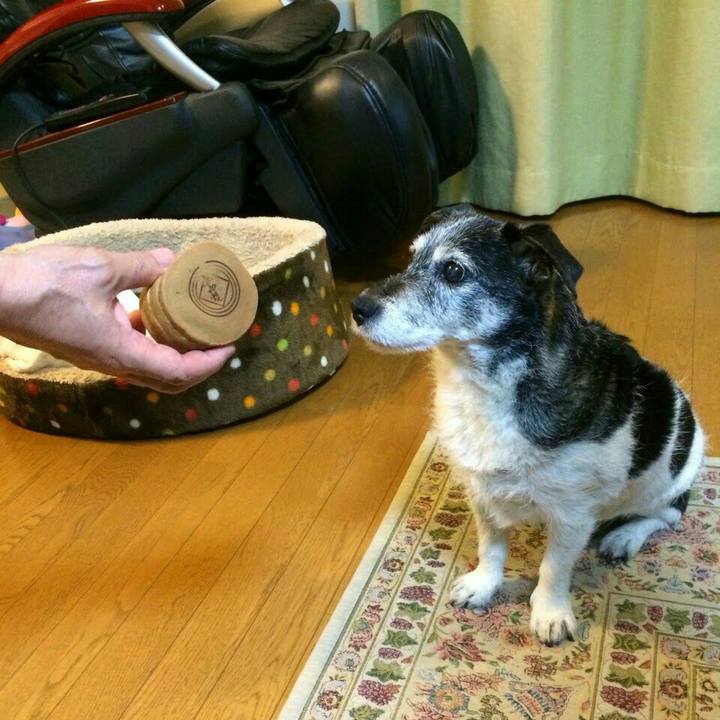 9ffff648 0bca 48cc 9873 ebc2d2e747d7