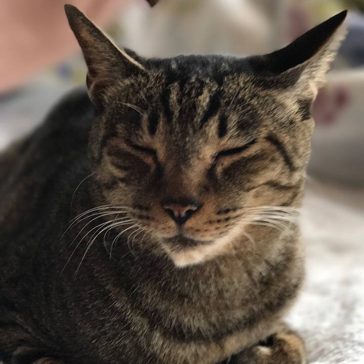 A00042b7 9210 4c43 9043 364c38440e13